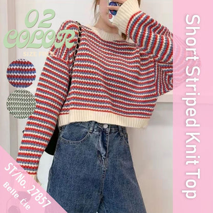 Knit/カラフルボーダーショートニット ST/No.27857